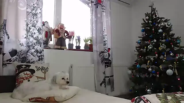 Snapshot of SweetMaddy888 chatting on 12.31.24 SweetMaddy888 online show from 12.31.24