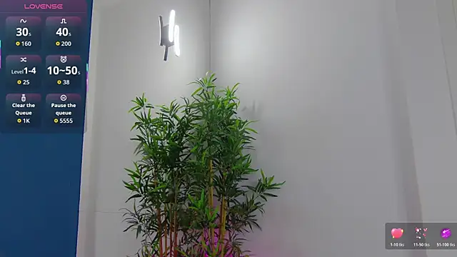 CelineMeyerr online show from 05.29.26