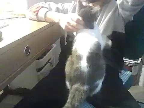 Snapshot of kallaviz chatting on 01.07.26 kallaviz online show from 01.07.26