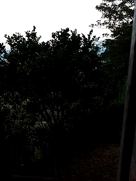 Snapshot of AuroraBon chatting on 12.10.24 AuroraBon online show from 12.10.24