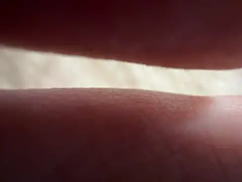 333vvvxs online show from 04.24.26