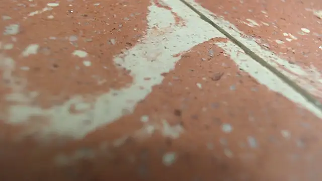 isabella jazz online show from 09.20.25