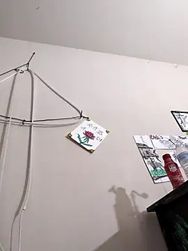 lit702 online show from 06.22.26