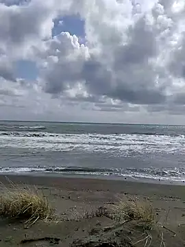 dhaadhawe online show from 03.21.26