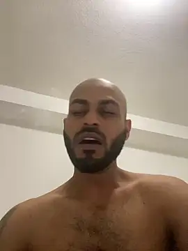 islandvybee55 online show from 12.22.24