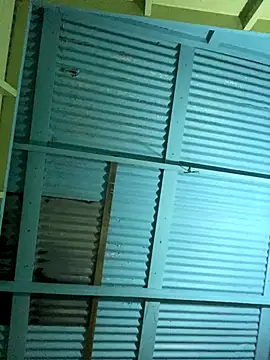 islandvybee55 online show from 12.16.25