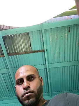 islandvybee55 online show from 01.06.26