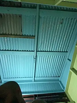 islandvybee55 online show from 01.08.26