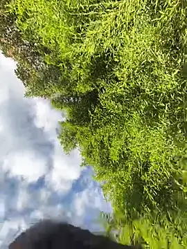 VioletaSubmissive online show from 04.20.26