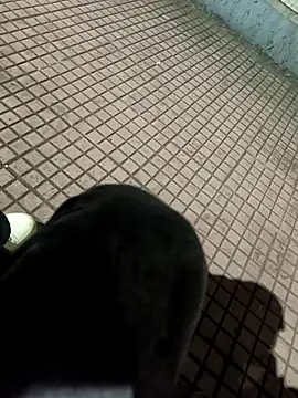 Snapshot of SurjS9 chatting on 09.20.25 SurjS9 online show from 09.20.25