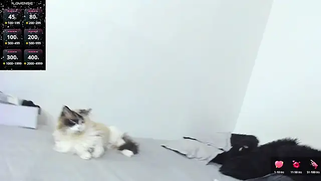 SophieBaker   online show from 02.03.26