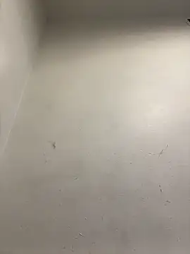 honeybrow online show from 01.08.25