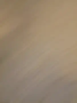 honeybrow online show from 02.26.25