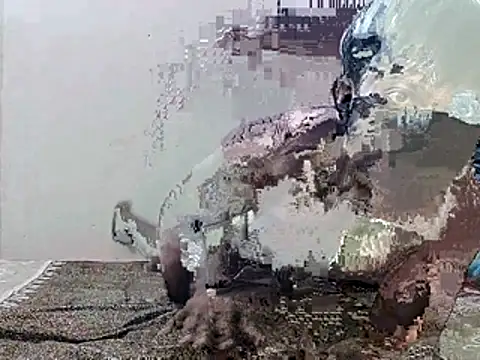 Snapshot of HunkyAriyan chatting on 11.11.25 HunkyAriyan online show from 11.11.25