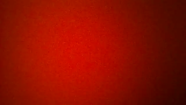 Porzz-6 online show from 02.03.26