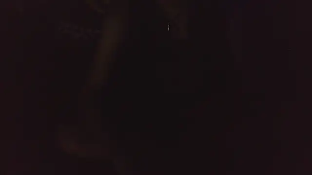 mystical zara online show from 02.19.26