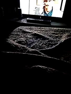 minitranca online show from 02.21.26