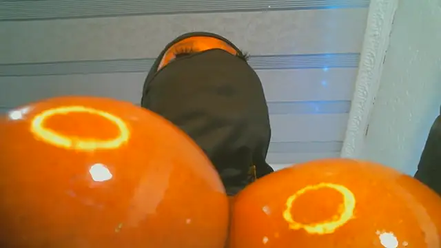 XPanther 24 online show from 02.06.25