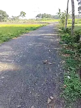 dick 01728 online show from 04.11.26