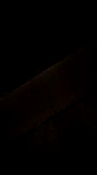 YuliannaFox online show from 12.06.24