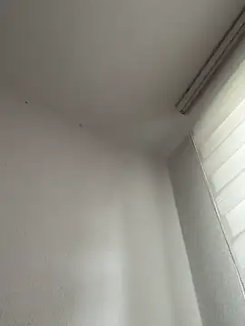 Snapshot of derFickerali chatting on 10.20.25 derFickerali online show from 10.20.25