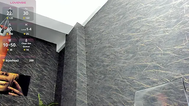 leonardsmith01 online show from 03.11.25