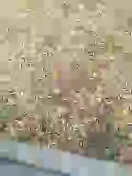Snapshot of Mrveda66 chatting on 02.10.26 Mrveda66 online show from 02.10.26