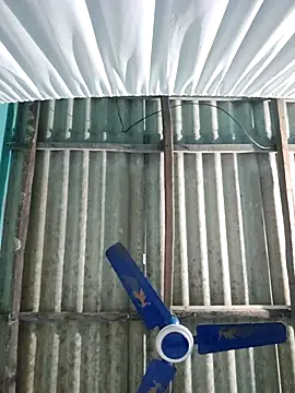 hotbaby 5 online show from 11.26.25