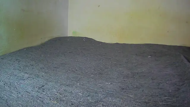 fern tlk online show from 12.17.24