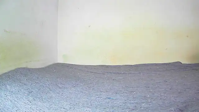 fern tlk online show from 01.19.25