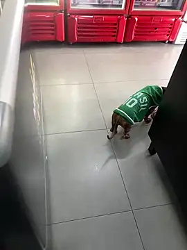 Snapshot of Hjsjsjsjjd chatting on 10.14.25 Hjsjsjsjjd online show from 10.14.25