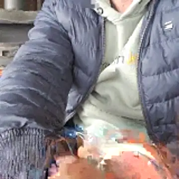 Lumpi1988A online show from 02.19.26