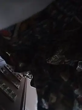 heartless  95 online show from 03.03.26