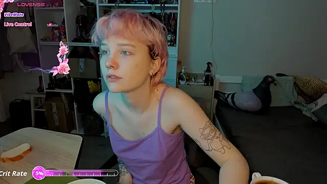 School Love online show from 02.13.26