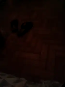 Snapshot of lobomisterioso13 chatting on 12.11.24 lobomisterioso13 online show from 12.11.24