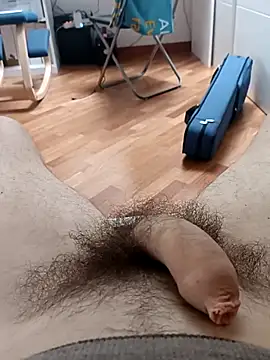 the lion 69 online show from 02.11.26