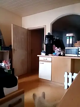 Wishes813 online show from 02.22.26