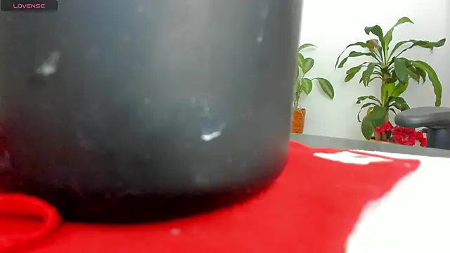 Snapshot of Michel_Jones chatting on 03.08.25 Michel Jones online show from 03.08.25