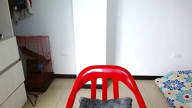 Snapshot of Party_trans chatting on 12.28.24 Party trans online show from 12.28.24