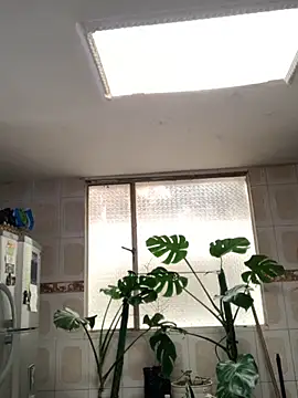 Miss oliviaa online show from 11.26.25