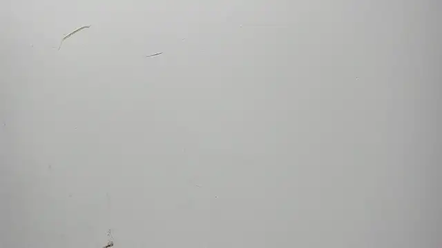 Karljensen33 online show from 12.27.24