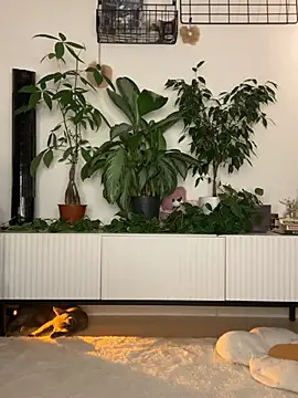  SweetCandyy online show from 07.12.26