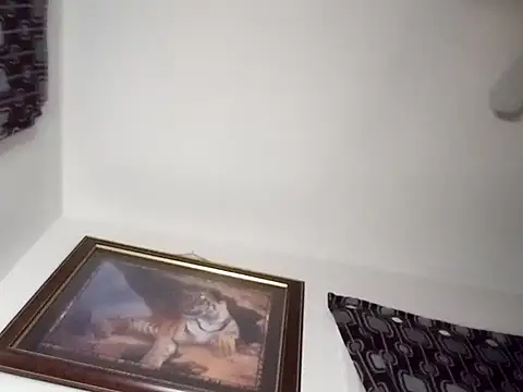 Snapshot of gemini12838 chatting on 01.13.25 gemini12838 online show from 01.13.25