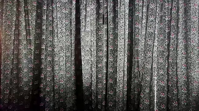 Snapshot of ChloeTurner_ chatting on 12.20.24 ChloeTurner online show from 12.20.24
