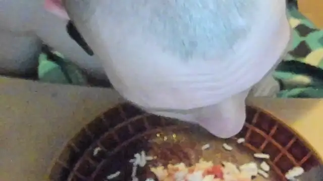 sexy264329 online show from 03.07.25