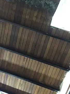 isacalejandroo online show from 01.25.25