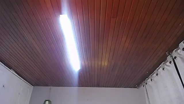 Scarllett BDSM online show from 11.29.25