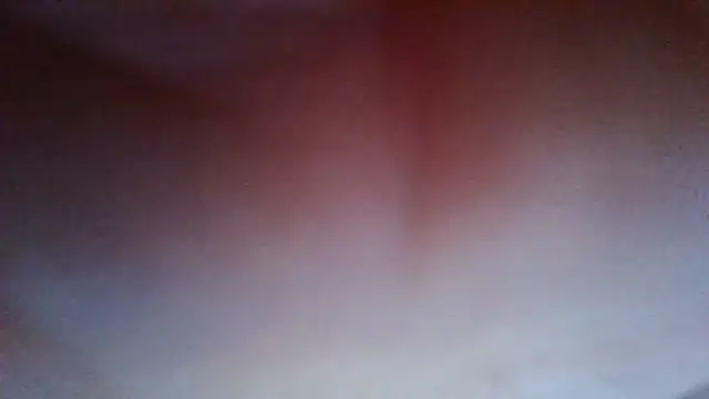 Evasapples online show from 07.20.26