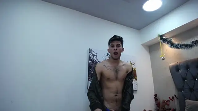 Snapshot of MrWilliseo chatting on 12.29.24 MrWilliseo online show from 12.29.24