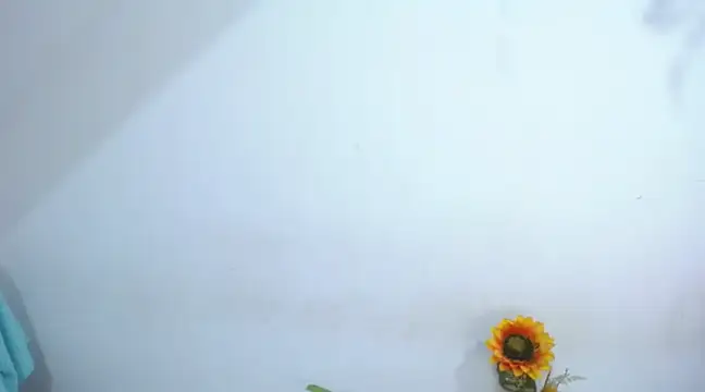 Snapshot of diamonmeli chatting on 01.14.25 diamonmeli online show from 01.14.25